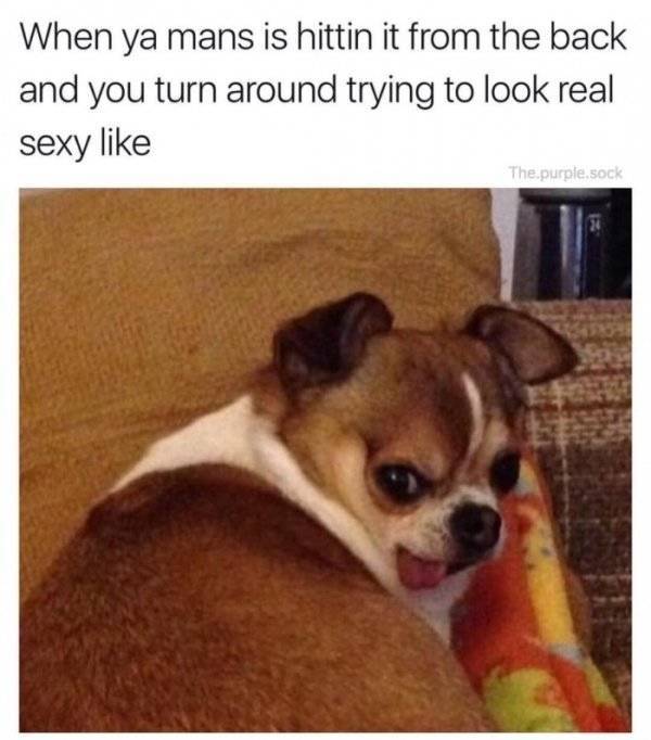 Yay, NSFW Memes!