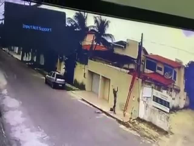 Lasso!