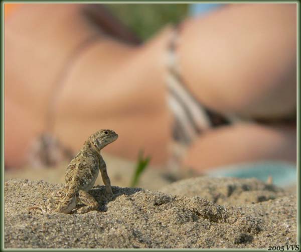 Pictures taken by surprise. Part 2 (67 pics)