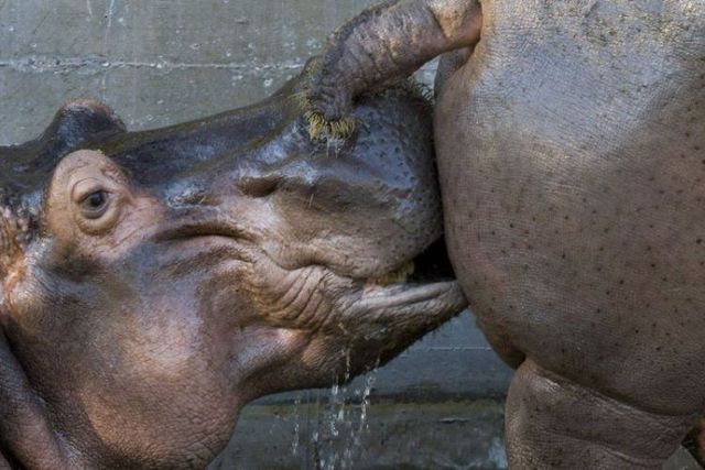 Funny picdump