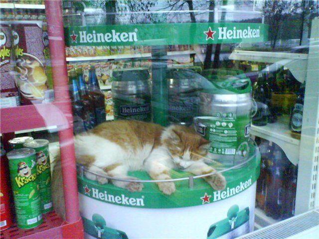 Funny picdump