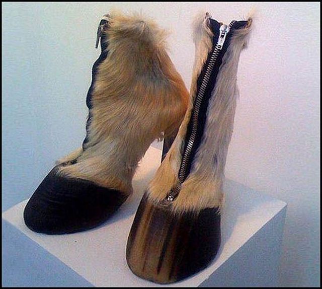 Funny picdump