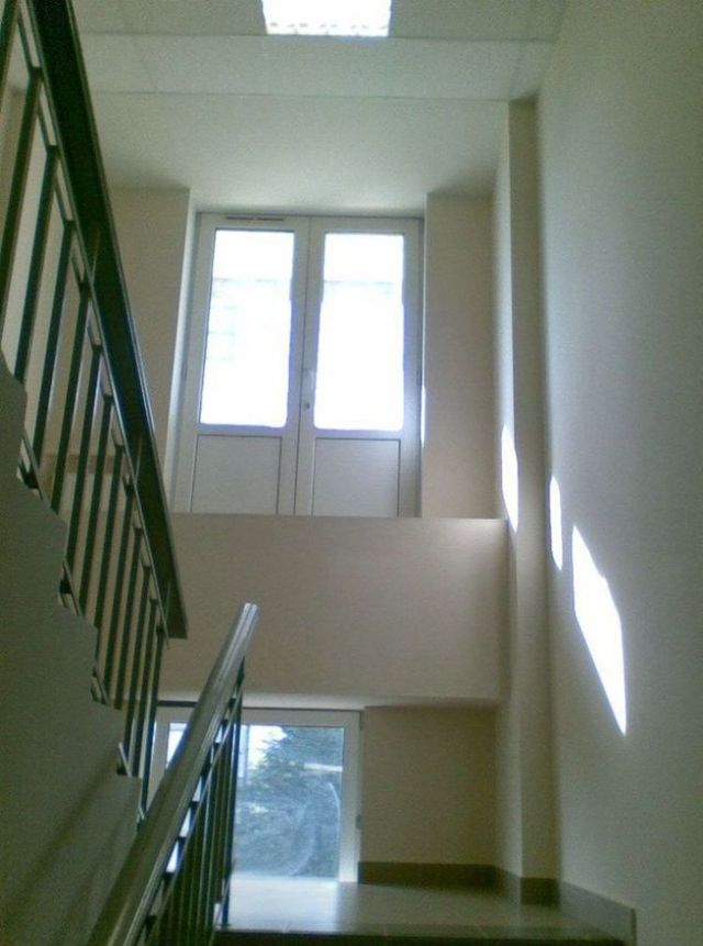 Construction stupidity (93 pics)