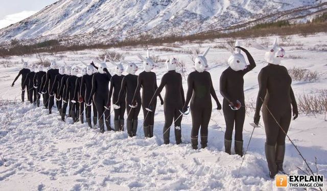 Random pictures that make no sense (55 pics)