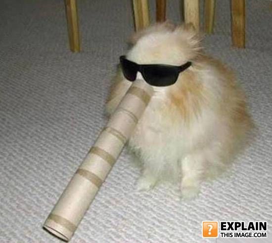 Random pictures that make no sense (55 pics)