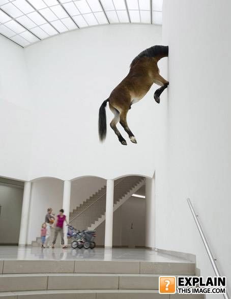 Random pictures that make no sense (55 pics)