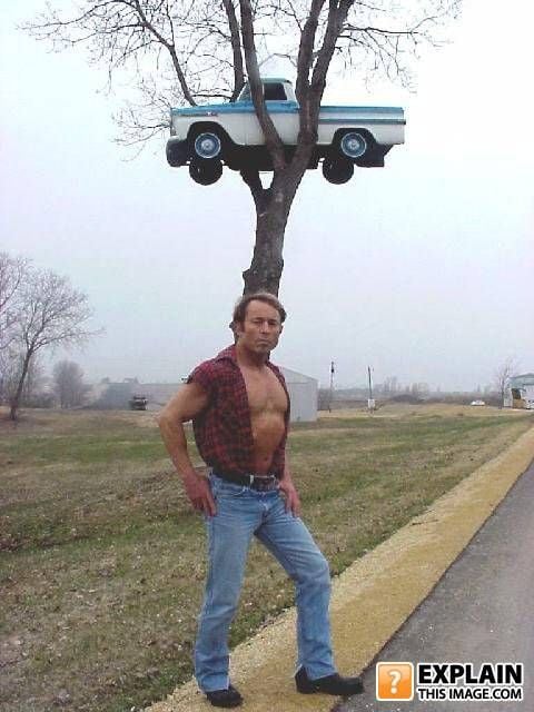 Random pictures that make no sense (55 pics)