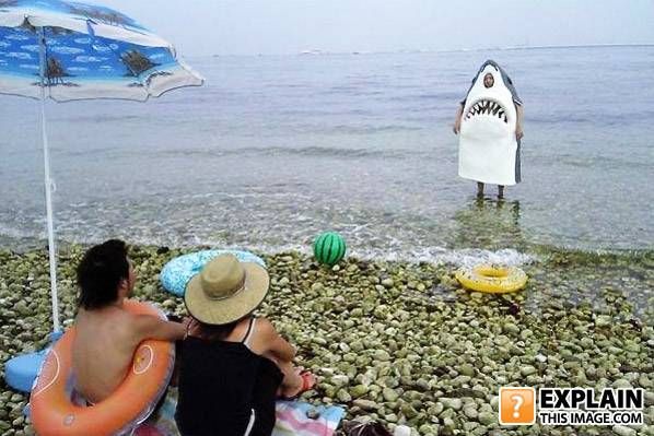 Random pictures that make no sense (55 pics)