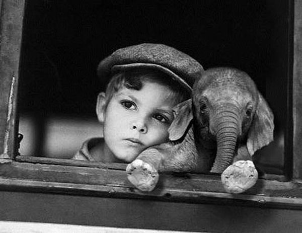 Retro photos (46 pics) Retro photos (46 pics)