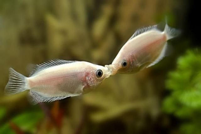 Funny picdump (97 pics)