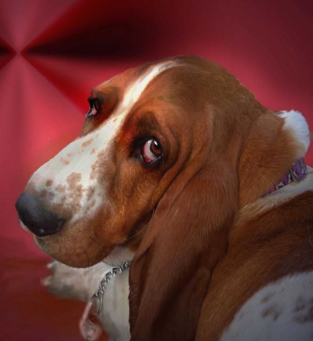 Funny picdump (97 pics)