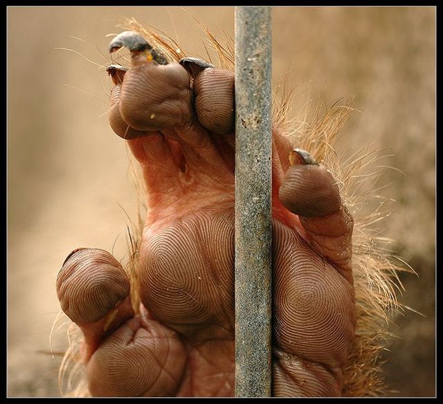 Funny picdump (97 pics)