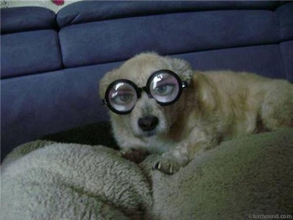Funny picdump (123 pics)