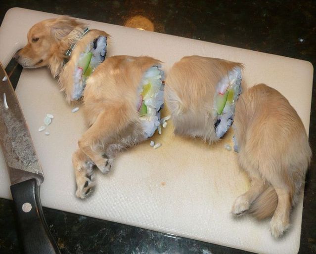 Funny picdump (123 pics)