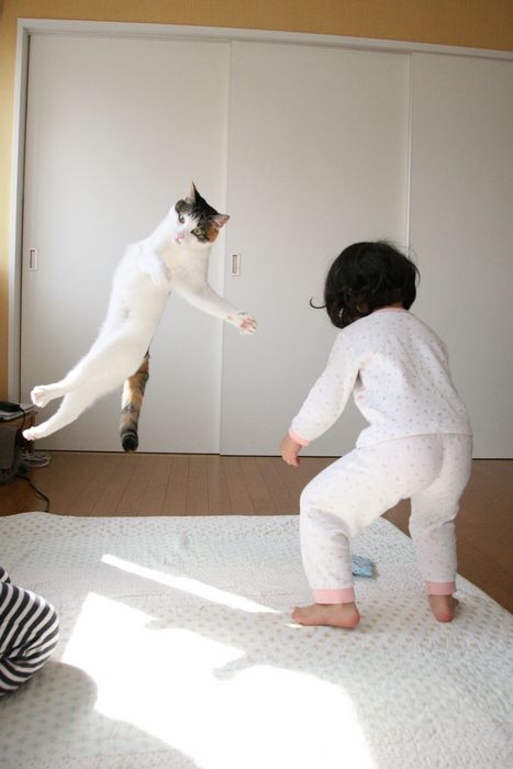 Funny picdump (123 pics)