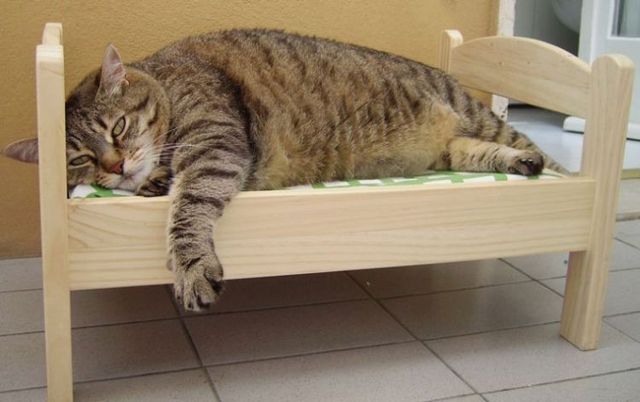 Funny picdump (125 pics)