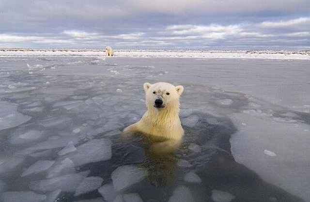 Funny picdump (125 pics)
