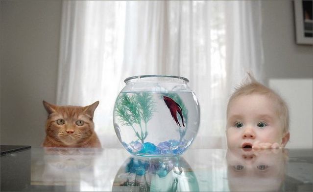 Funny picdump (125 pics)