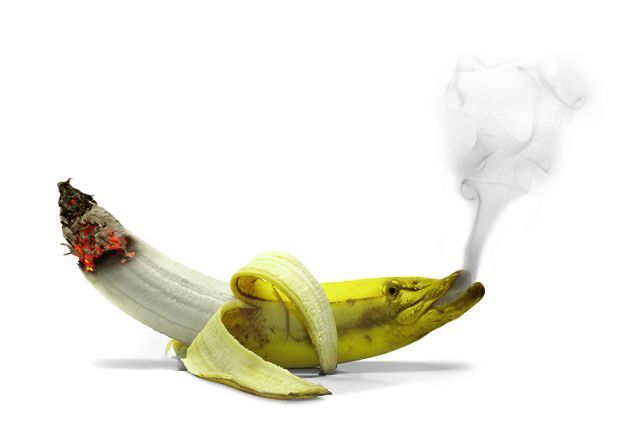 Funny picdump (125 pics)