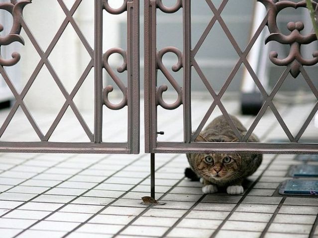 Funny picdump (125 pics)