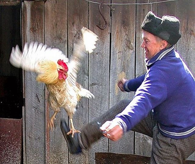 Funny picdump (106 pics)
