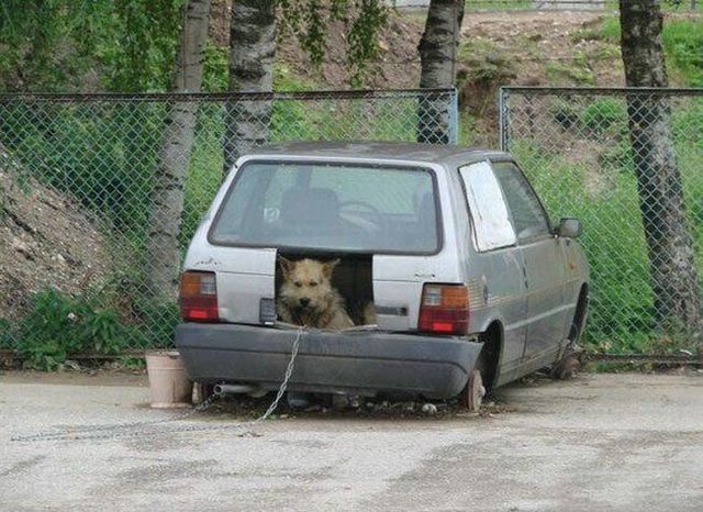 Funny picdump (154 pics)