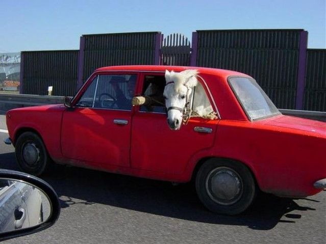 Funny picdump (154 pics)