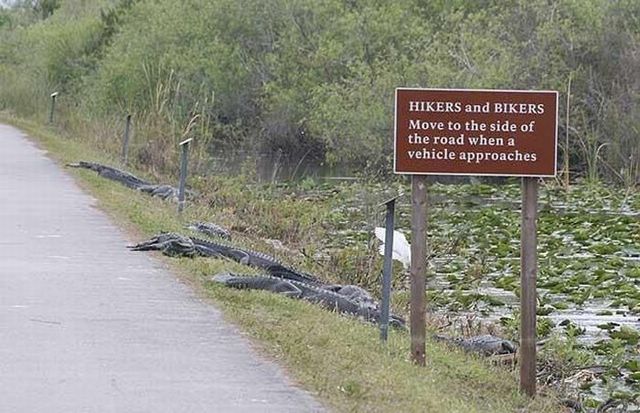Funny picdump (154 pics)