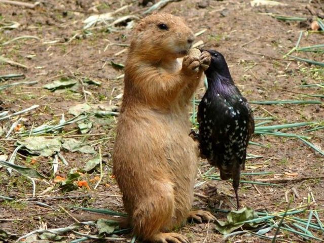 Funny picdump (154 pics)