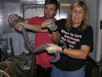 Curiosities and bonus pictures Curiosities and bonus pictures