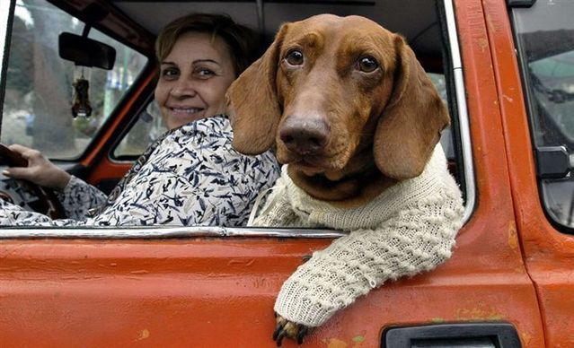Funny picdump (129 pics)