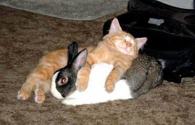 Funny picdump (129 pics)