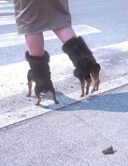 Funny picdump (129 pics)