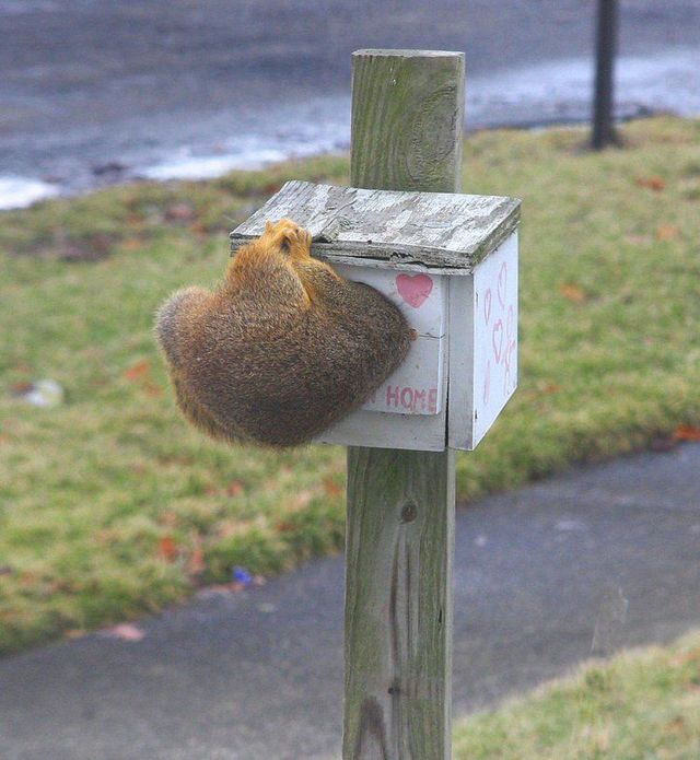Funny picdump (129 pics)