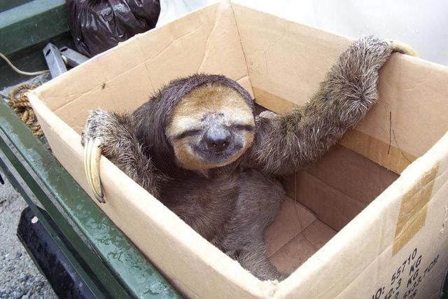 Funny picdump (100 pics)