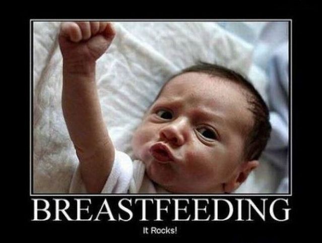 Funny picdump (100 pics)
