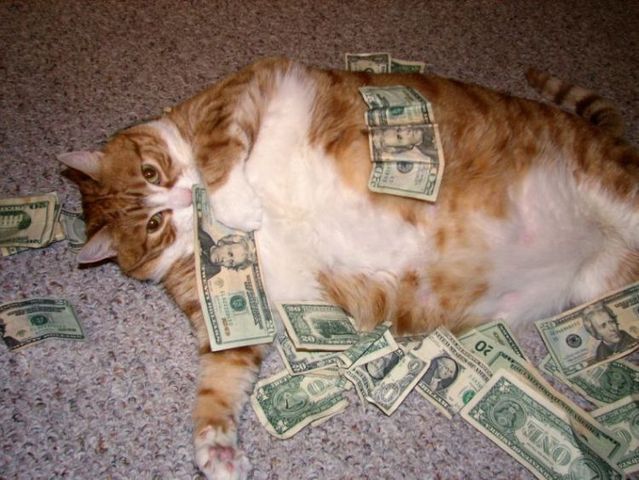 Funny picdump (100 pics)