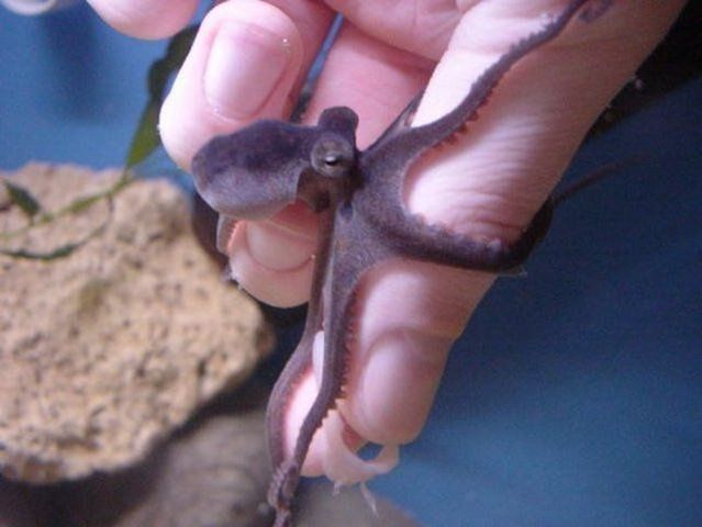 Funny picdump (100 pics)