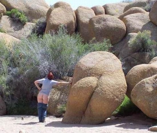 Girls are having fun (50 pics)