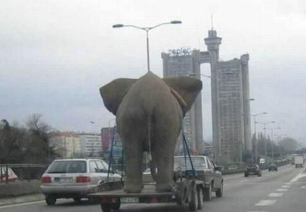 Funny picdump (85 pics)