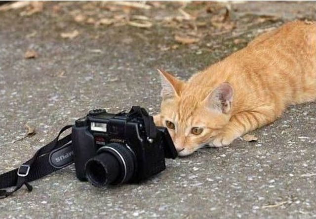 Funny picdump (85 pics)