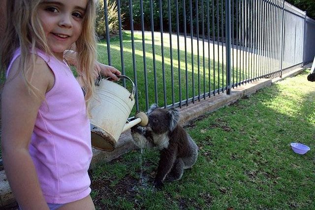 Funny picdump (85 pics)