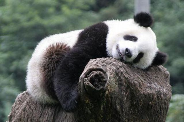 Funny picdump (85 pics)