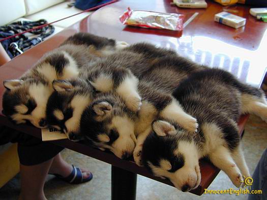 Funny picdump (105 pics)