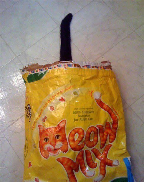 Funny picdump (105 pics)