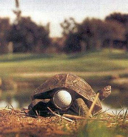 Funny picdump (105 pics)