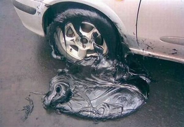 Funny picdump (115 pics)