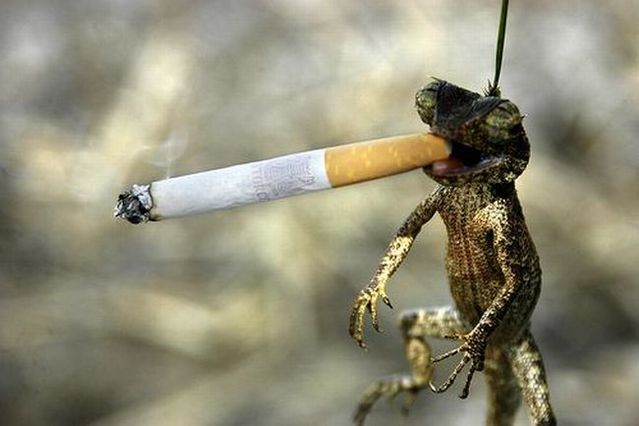 Funny picdump (115 pics)