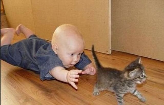Funny picdump (115 pics)