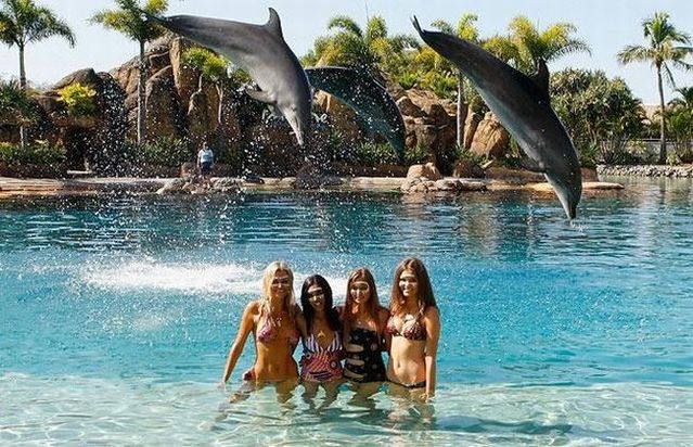 Funny picdump (115 pics)